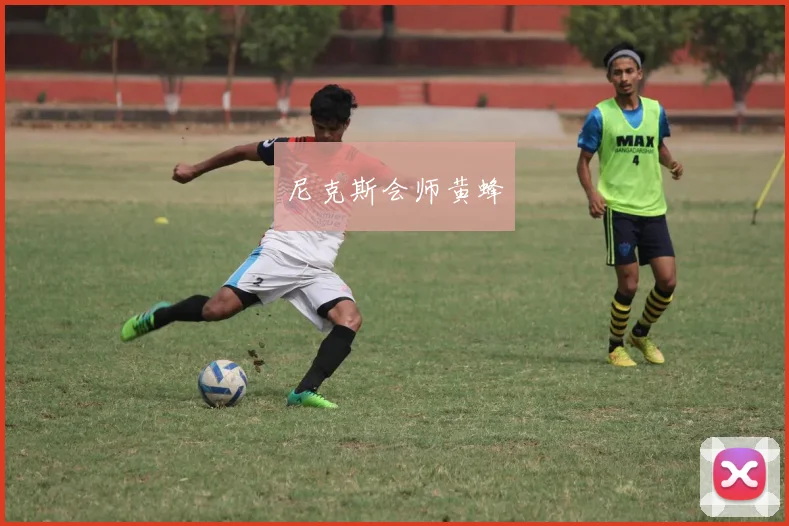 尼克斯会师黄蜂