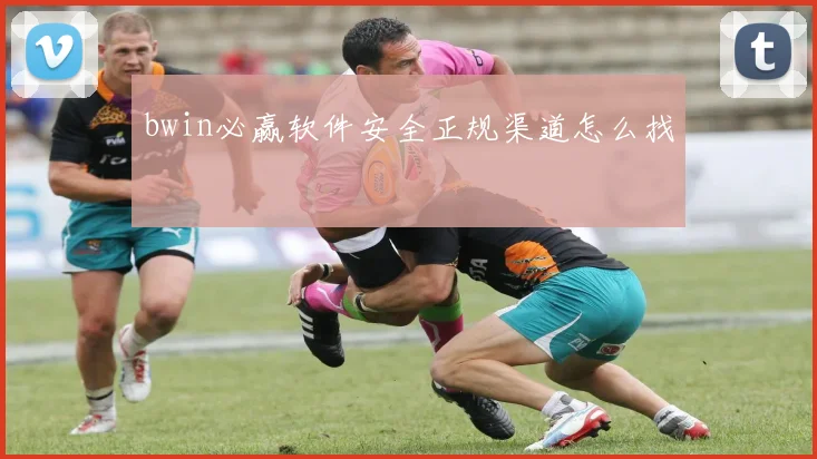 bwin必赢软件安全正规渠道怎么找