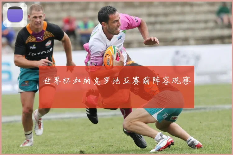 世界杯加纳克罗地亚赛前阵容观察