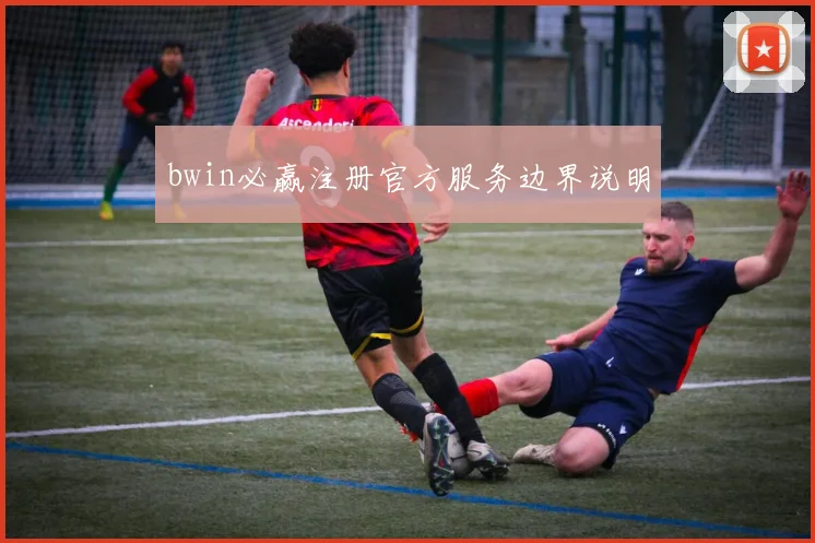 bwin必赢注册官方服务边界说明