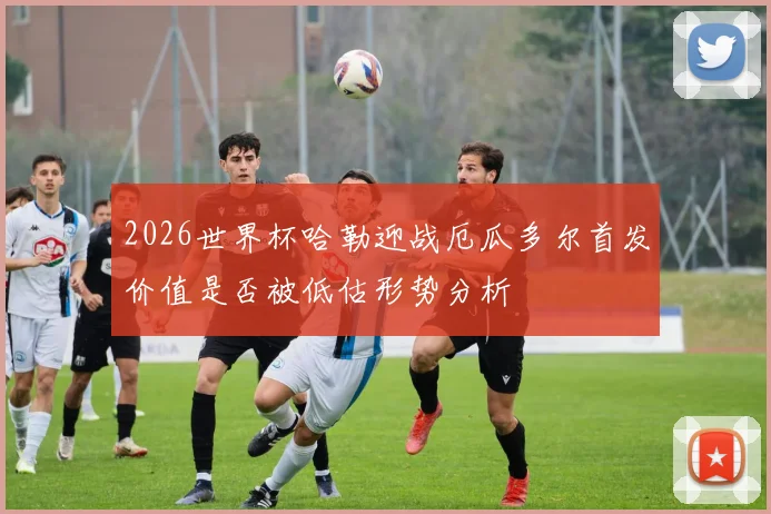 2026世界杯哈勒迎战厄瓜多尔首发价值是否被低估形势分析